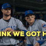 Going to See the Cubbies Again